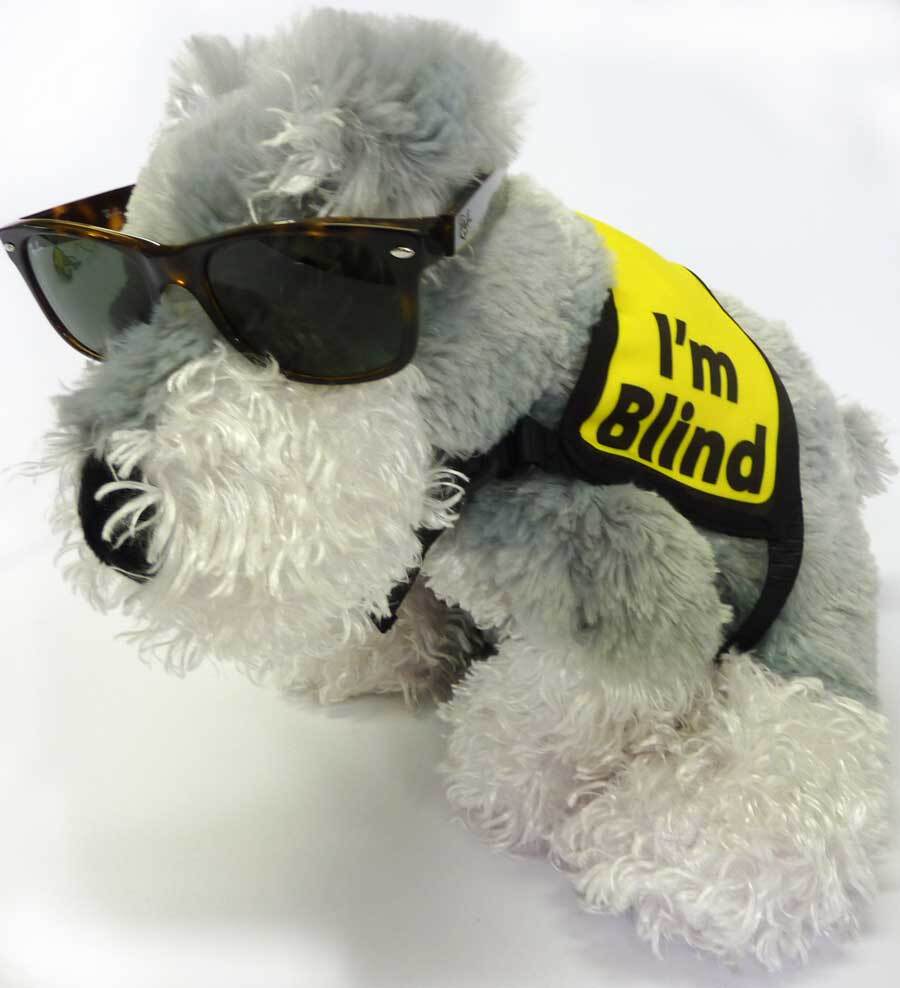 Dog Vest 'I'm Blind'