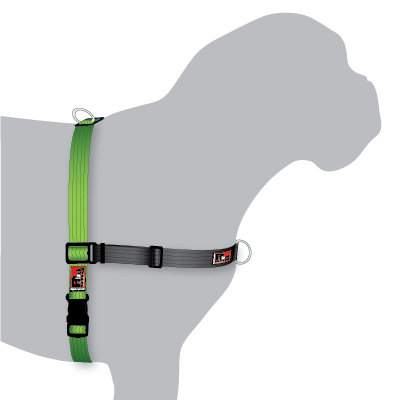 Black dog balance harness reviews outlet