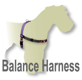 Balance Harness Range