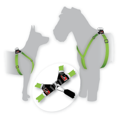 Dog Harness Range