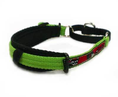 Italian Greyhound Specialized Collar