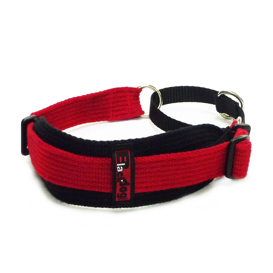 Sight Hound Specialised Collar - Two Tone