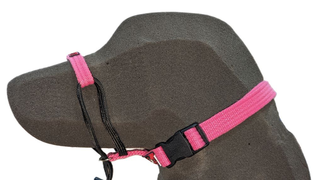 Greyhound Training Halter