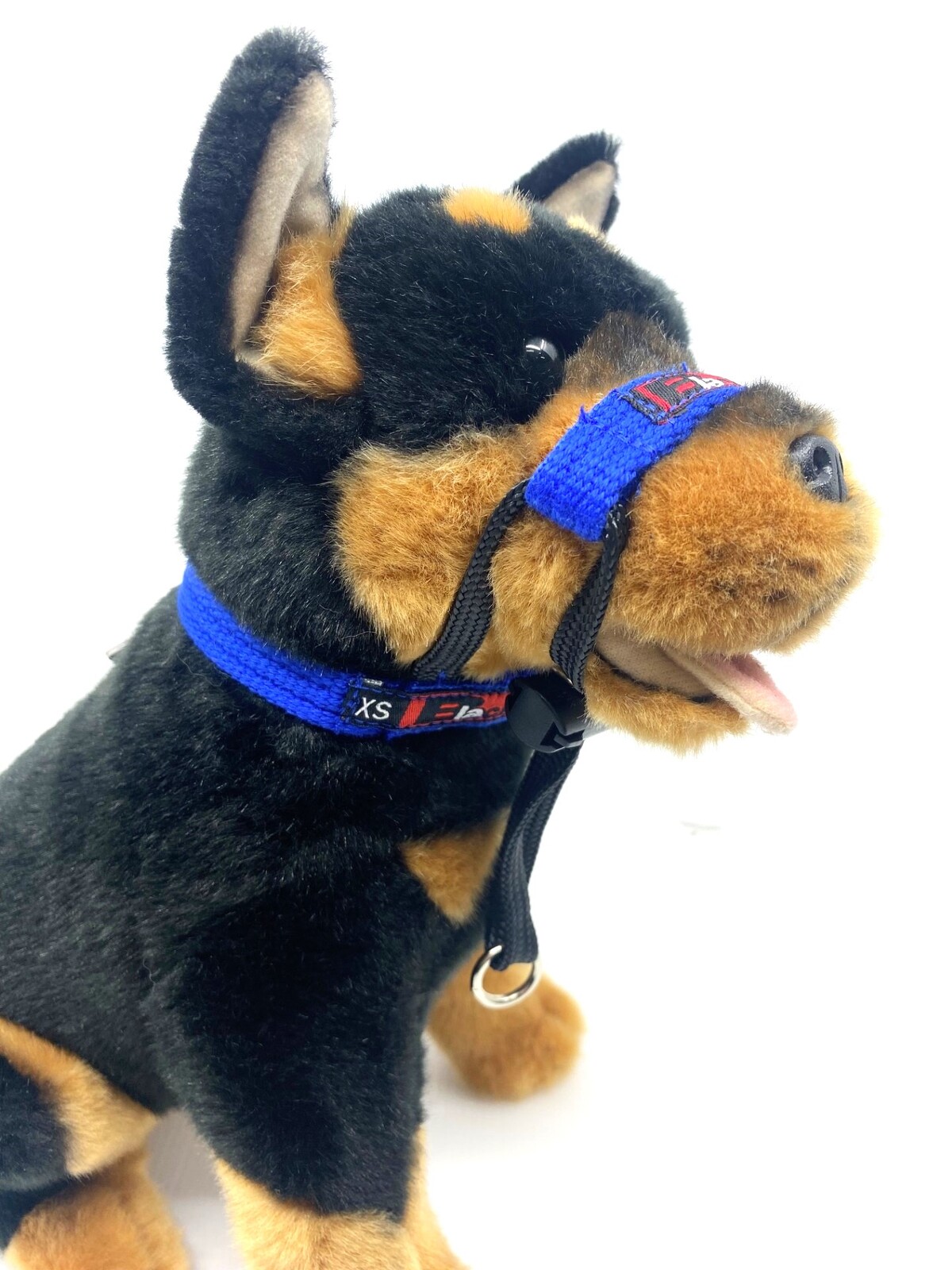 Black dog training halter sale