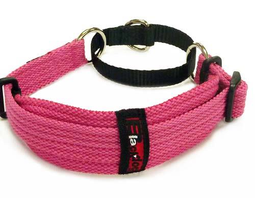 Whippet Specialised Collar Range
