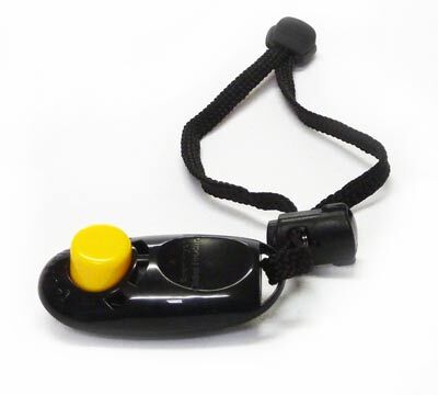 i-Clicker on wrist strap