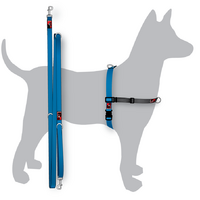 Black dog balance harness outlet