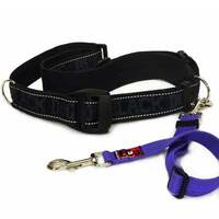 Hands Free Training Belt (Incl. Adj Lead)