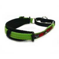 Italian Greyhound Specialized Collar