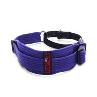 Sight Hound Specialised Collar