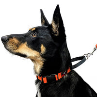 Training Collars Range
