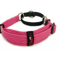 Whippet Specialised Collar Range