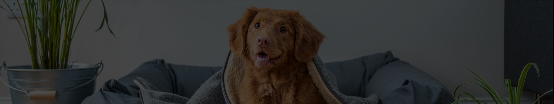 Website Terms of Use image